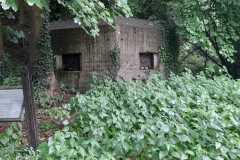 IMG-20250524-WA0003